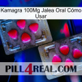 Kamagra 100Mg Jalea Oral Cómo Usar 15